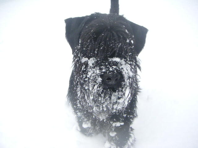 Bild 397.jpg